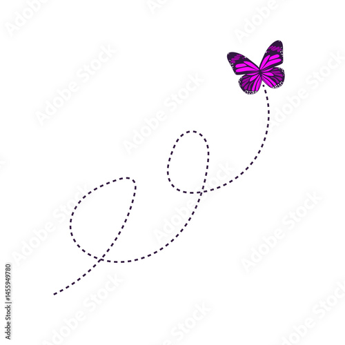 Flying Butterfly Route