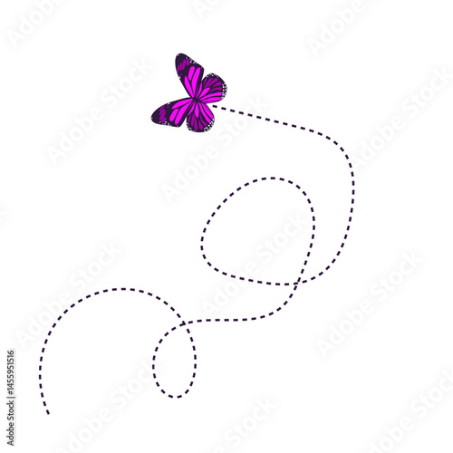 Flying Butterfly Route