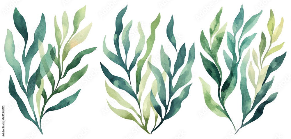 Naklejka premium PNG Watercolor botanical leaves art, element set on transparent background