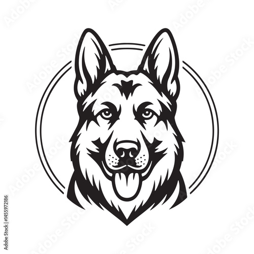 vector illustration of a dog photo