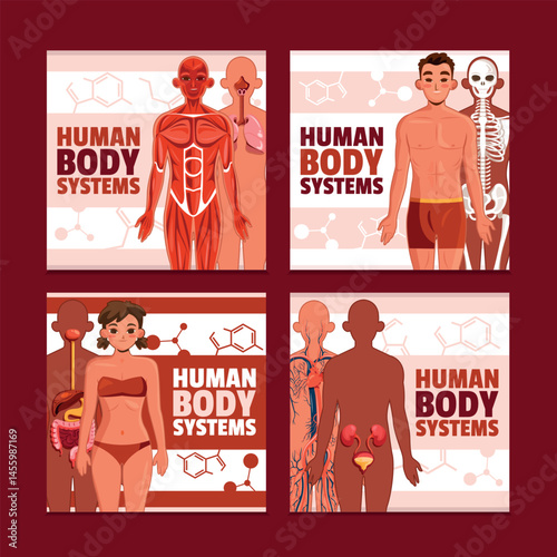 Human Body Systems Square Card Set