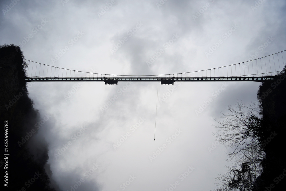 Fototapeta premium Bungee Jump from a Bridge Under Cloudy Sky