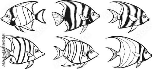Set of angelfish outline vector illustration line art coloring book page