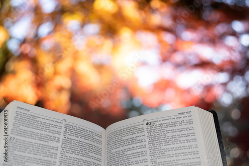 Holy Bible opened to Isaiah, chapters 37 and 40, with a beautiful blurred background and sunbeams reflecting on the autumn leaves of the Japanese maple