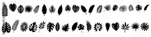 Tropical Leaves Silhouettes Set,Diverse Collection of Palm Leaf Vector Elements, Black Leaf Shapes, Artistic Embellishments for Design, Nature Decor, Jungle Foliage, Botanical Clipart,