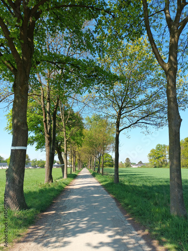 Wanderweg in ländlicher Region bei Angermund