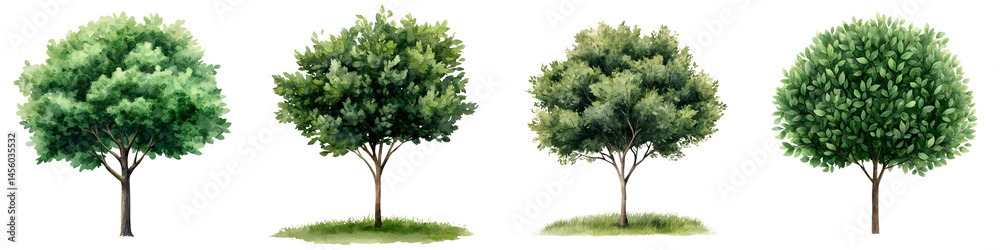 Fototapeta premium Lush green trees in a natural landscape