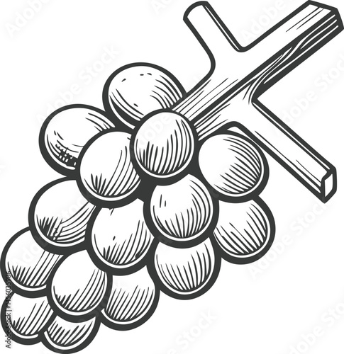 Grape bunches set collection in sketch engraving style, black and white scratch board imitation vintage illustration bundle

