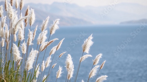 White feathery grass swaying gently with a blurred sea or lake background.