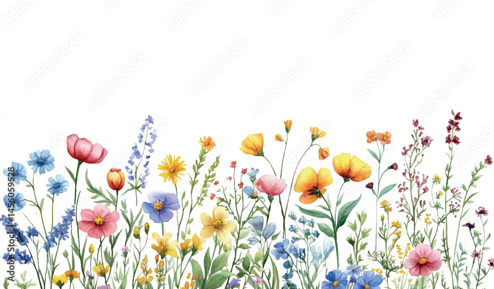 Banner with watercolor wildflowers and summer flowers. Various wildflowers and plants watercolor on a white background. Template for summer banners in rustic style, weddings, etc.