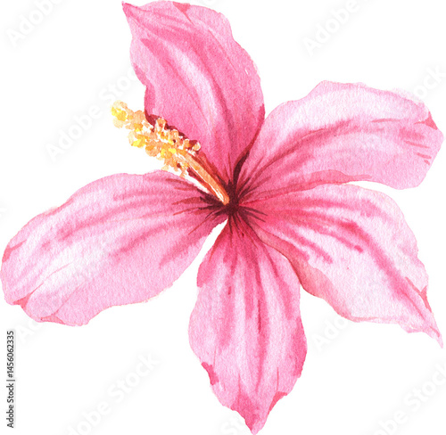 Watercolor hand painted tropical flower. Bright jungle exotic clip art perfect for summer wedding invitation and party card making