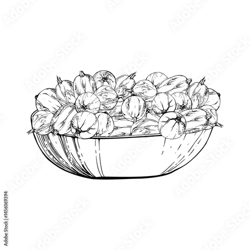 Gooseberry Currant berries in glass bowl hand drawn in vector ink, ripe picked harvest, lingonberry huckleberry juneberry. Isolated illustration. Restaurant cafe menu, cookbook, farmers market grocery