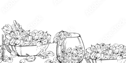 Gooseberry Currant with leaves in glass bowls, hand drawn in vector ink, served ripe picked berry harvest. Isolated seamless banner. Dessert cafe menu, cookbook, craft farmers market, gardening eco