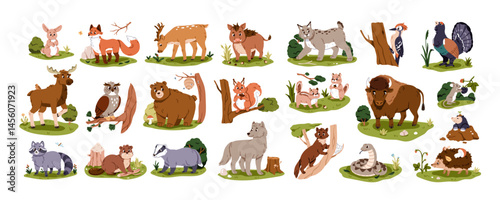 Cute forest animals set. Woodland characters. Kids wildlife. Wild bear, fox, owl bird, squirrel and hedgehog. Sweet wood habitats. Childrens flat vector illustration isolated on white background