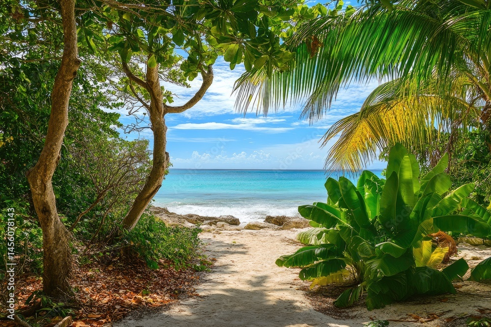 Tropical beach path through lush vegetation, leading to a turquoise sea. Sunlight filters through the dense foliage