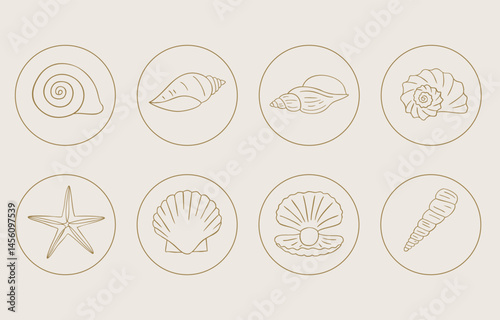 summer gold icon with shell circle  for kid design