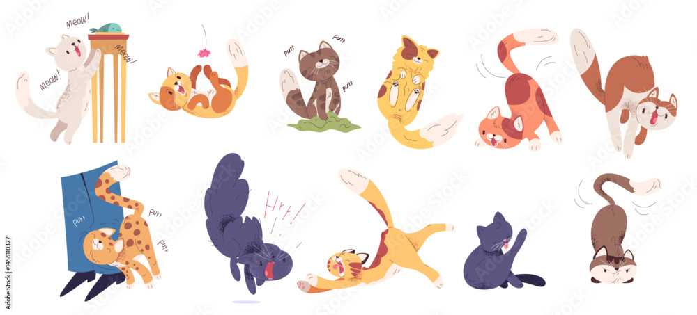 Cat behavior. Cats body language, funny cute kitten different tail action kitty poses and mood scared angry play friend feeling, cartoon kittens pet set classy vector illustration Cat behavior. Cats body language, funny cute kitten different tail action kitty poses and mood scared angry play friend feeling, cartoon kittens pet set classy vector illustration