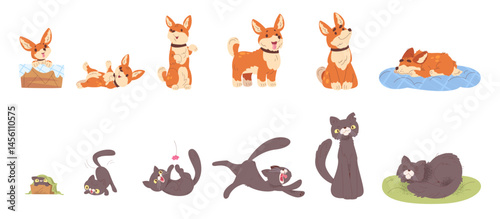 Pets growth stages. Dog cat life cycle, age process little kitten small puppy growing to adult senior pet domestic animal evolution cartoon characters, classy vector illustration