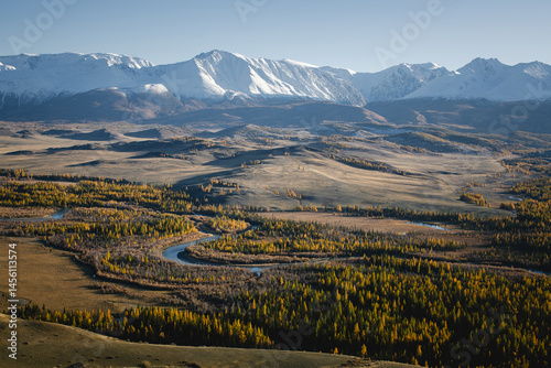 Obraz na płótnie A panoramic view of a golden autumn forest in the Altai Republic, with a winding river and snow-capped mountains in the background, a breathtaking scene of contrast and natural harmony. w salonie