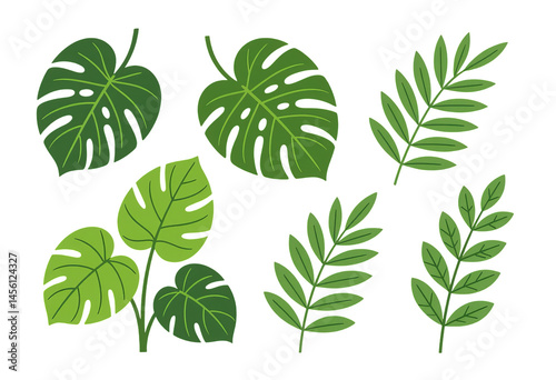 Tropical Leaves, Green, Transparent Background