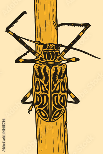 Drawing of Striped Beetle Clinging to a Wooden Stick