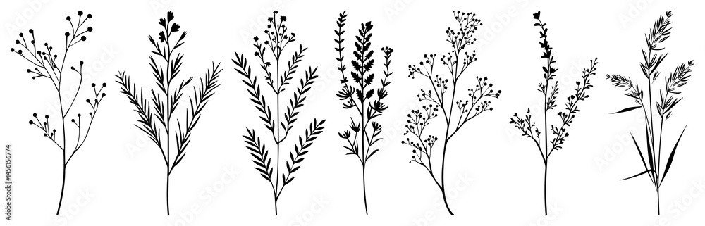 PNG Silhouette of seven botanical herb sprigs transparent background. PNG Silhouette of seven botanical herb sprigs transparent background.