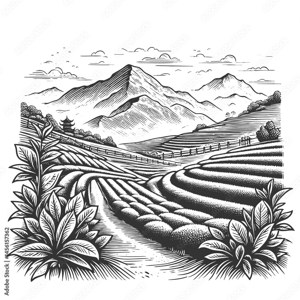 Fototapeta premium tea plantation mountain landscape with terraced fields, lush plants, pine trees, and dramatic cloud formations sketch engraving generative ai vector illustration. Scratch board. Black and white.