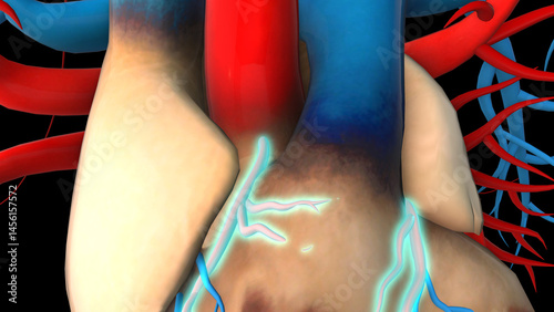 Tableau sur toile Human heart coronary artery anatomy for medical concept 3D rendering