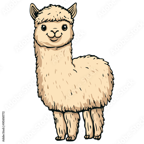 alpaca, animal, vector, transparent background, nature, pet, isolated, wildlife, mammal, cute, farm, icon, zoo, peru