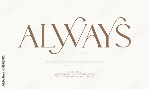 Elegant serif display font with luxurious curves and modern style perfect for branding, editorial, and premium design projects.