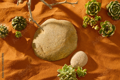 Top view of round pebbles placed on dry sand, the surface of the stones is quite smooth with a few small holes. Succulents grow in the shape of multi-petaled flowers, growing in groups in the desert