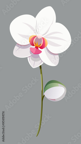 A white flower with a red center. The flower is the main focus of the image. The flower is surrounded by a gray background