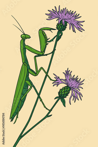 Praying Mantis Climbing Plant with Flowers Detailed Illustration