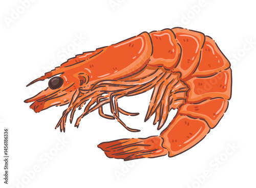 shrimp isolated on white