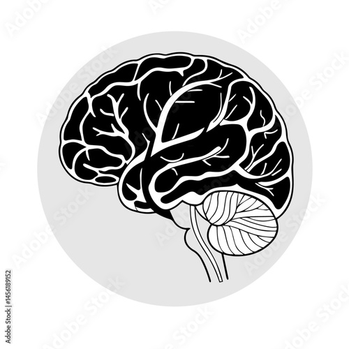human brain vector illustration