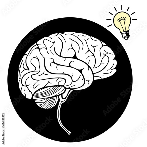human brain