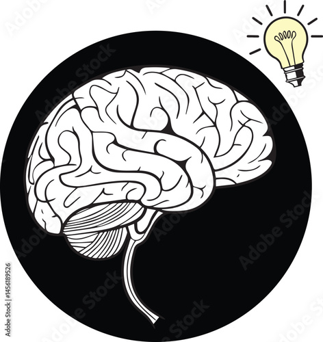 human brain