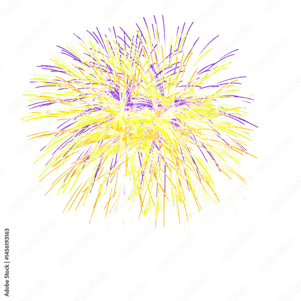 Fototapeta premium Fireworks 