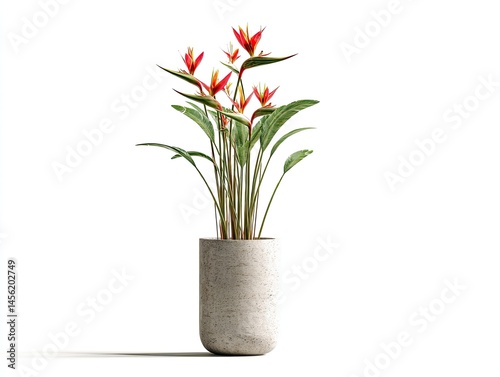 Bird of Paradise Plant in Modern Grey Stone Pot Tropical Flower Arrangement Interior Decor
