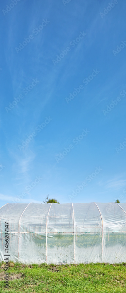 Polytunnel on an organic farm against the blue sky.