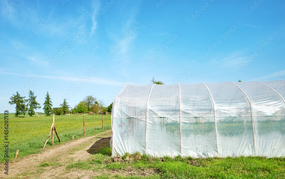 Polytunnel on an organic farm against the blue sky.
