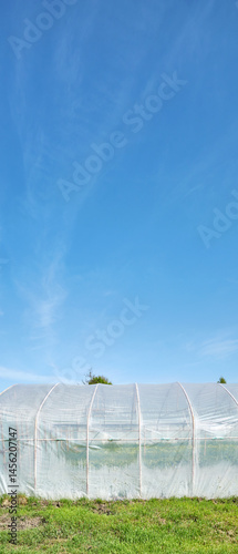 Obraz na płótnie Polytunnel on an organic farm against the blue sky. w salonie
