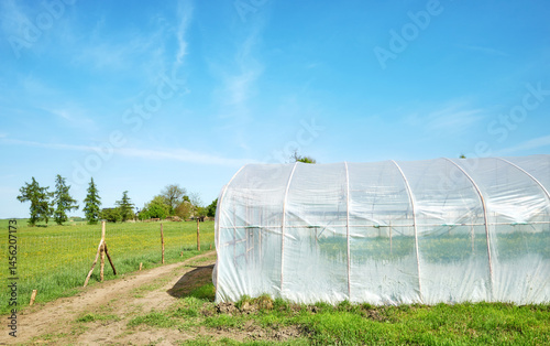 Obraz na płótnie Polytunnel on an organic farm against the blue sky. w salonie
