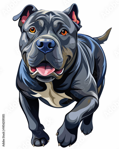 english bulldog portrait