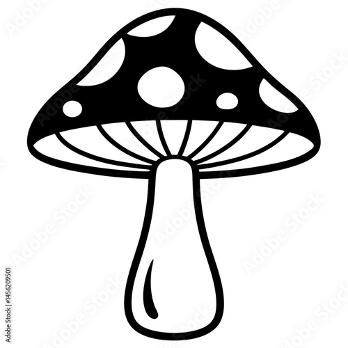 mushroom isolated on white background
