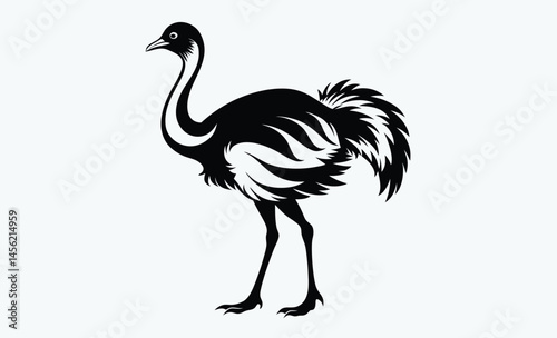 Ostrich silhouette, Ostrich silhouette vector, emu bird black silhouette