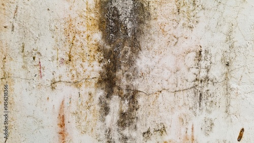 A close-up of a textured wall afflicted with dampness and discoloration. This image showcases the natural decay and imperfections often found in older structures. Useful for illustrating concepts