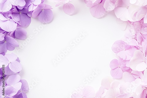 Delicate Hydrangea Border