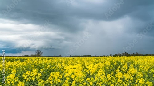 Time lapse of Approaching Thunderstorm over Blooming Rapeseed Field