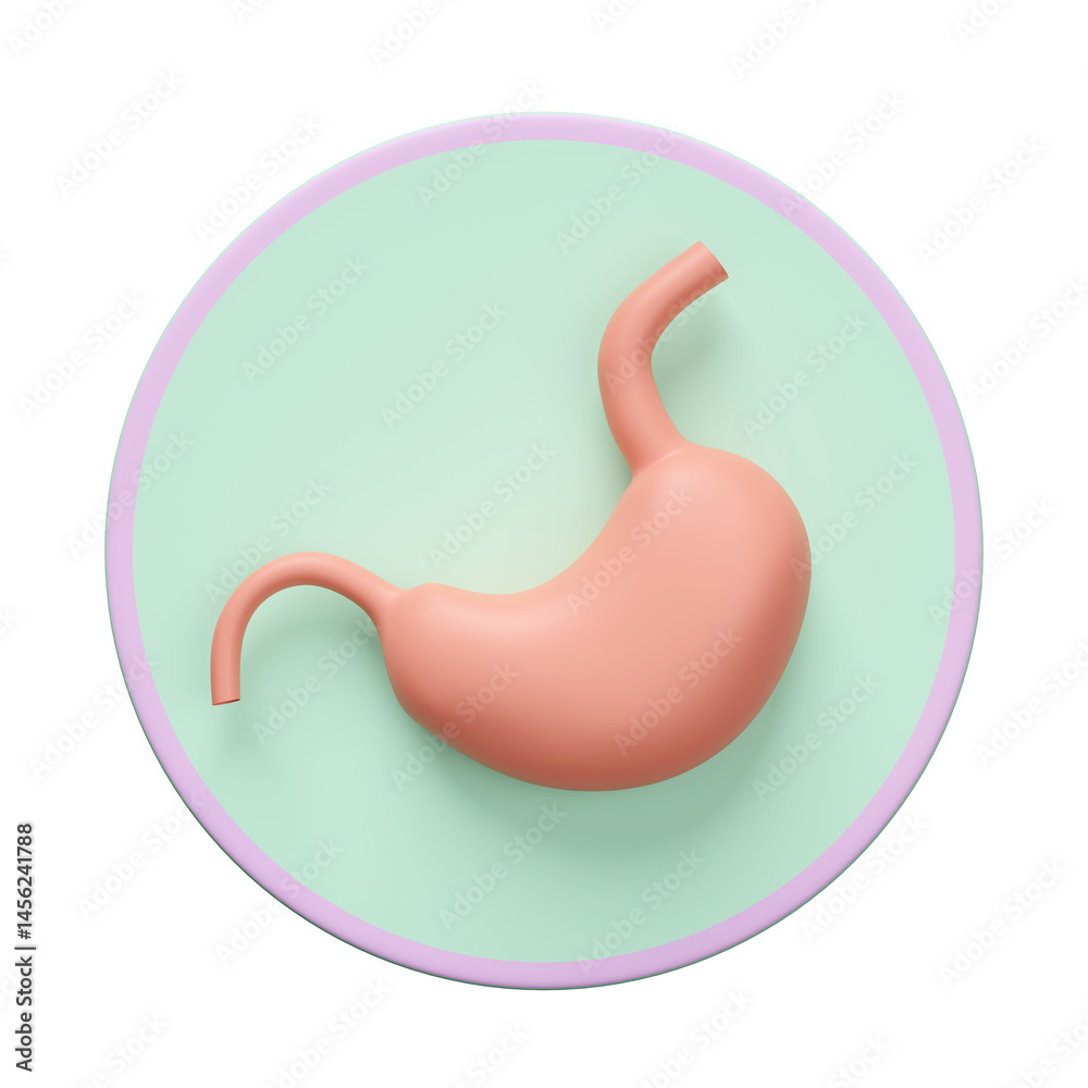 3d stomach human realistic icon isolated. 3d illustration render 3d stomach human realistic icon isolated. 3d illustration render